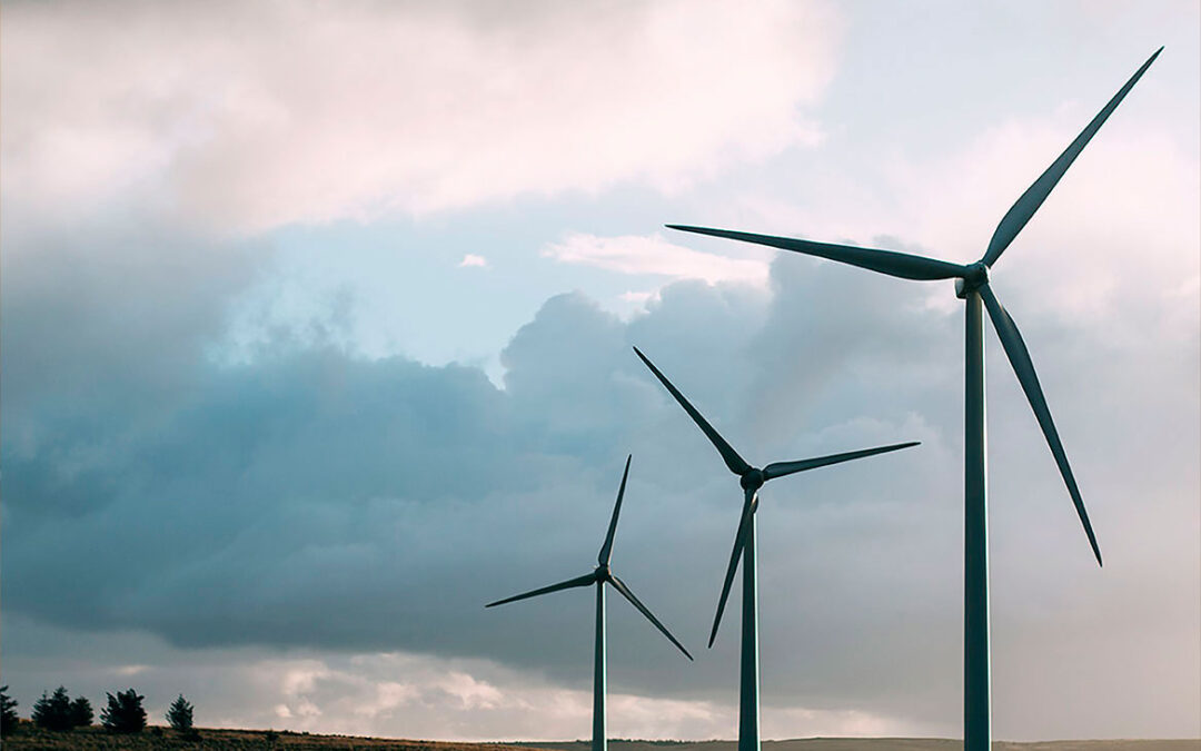 SIE – Redeia: una intensa agenda en 2025